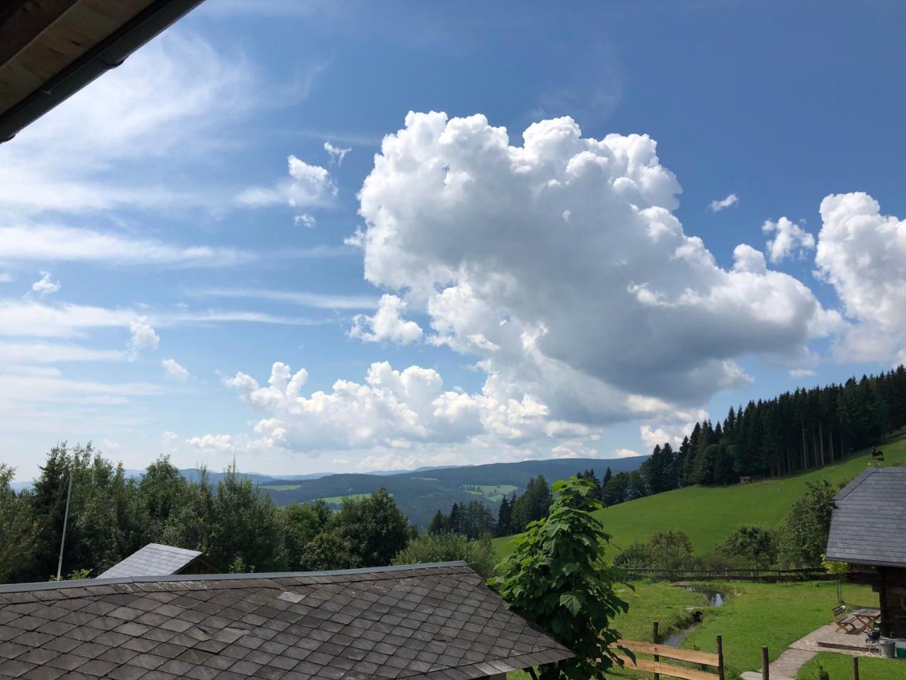 Waldheimathuette Villa Sankt Kathrein am Hauenstein Kültér fotó