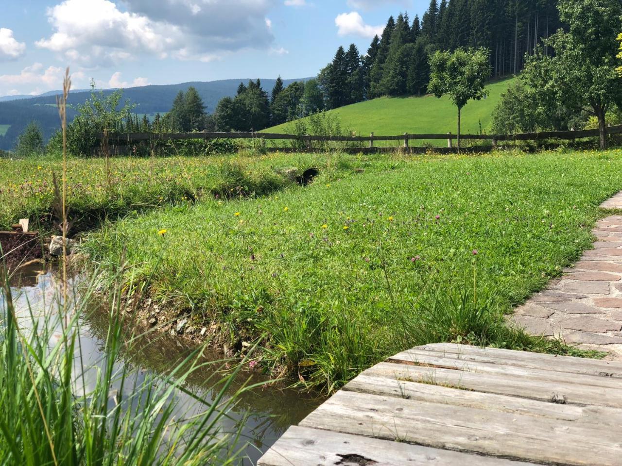 Waldheimathuette Villa Sankt Kathrein am Hauenstein Kültér fotó