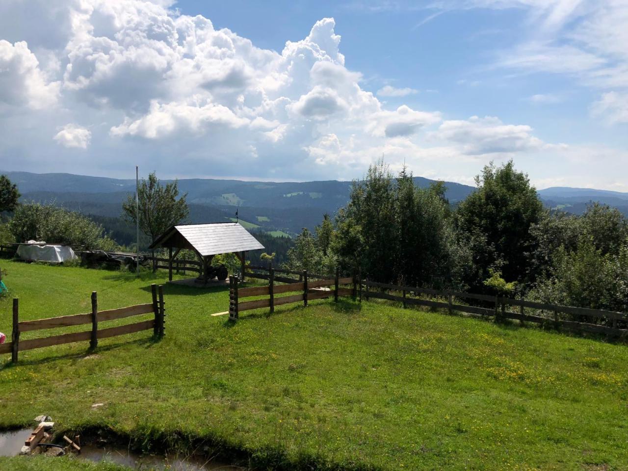 Waldheimathuette Villa Sankt Kathrein am Hauenstein Kültér fotó