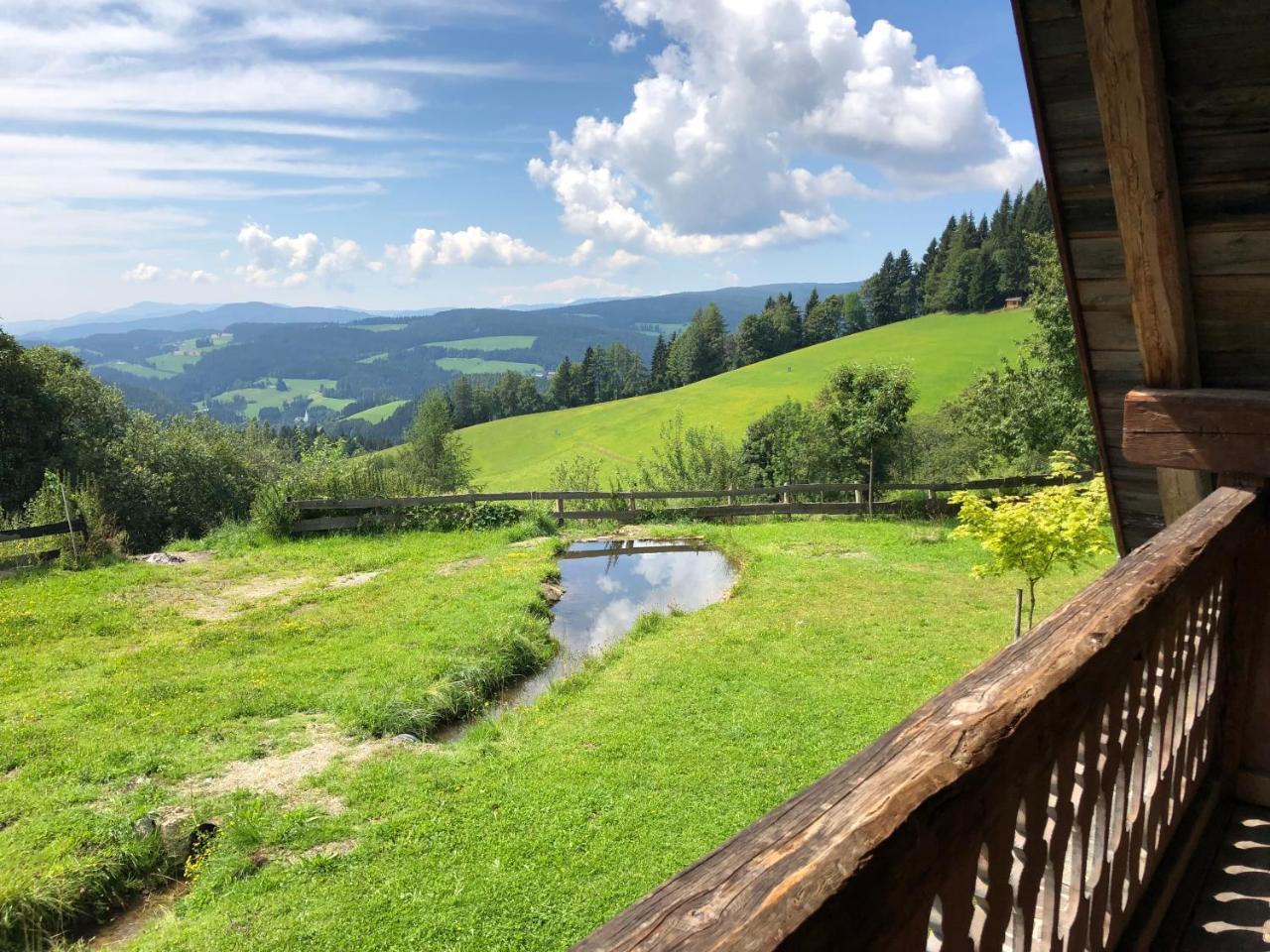 Waldheimathuette Villa Sankt Kathrein am Hauenstein Kültér fotó