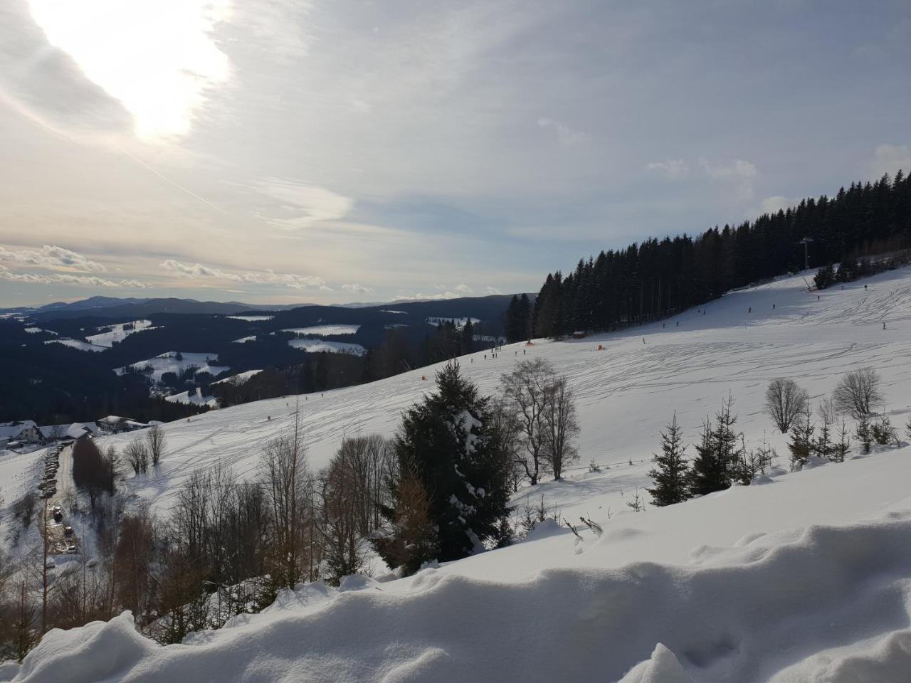 Waldheimathuette Villa Sankt Kathrein am Hauenstein Kültér fotó