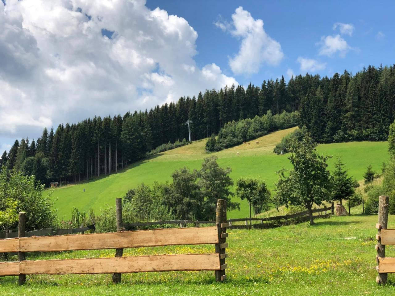 Waldheimathuette Villa Sankt Kathrein am Hauenstein Kültér fotó